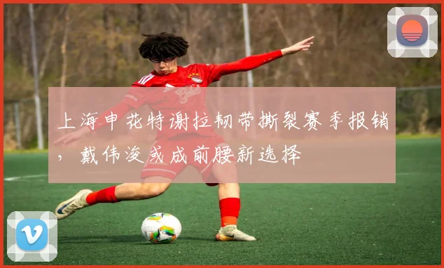 上海申花特谢拉韧带撕裂赛季报销，戴伟浚或成前腰新选择